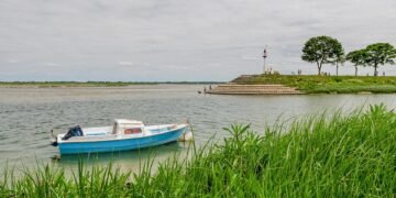 how film ratings systems developed globally