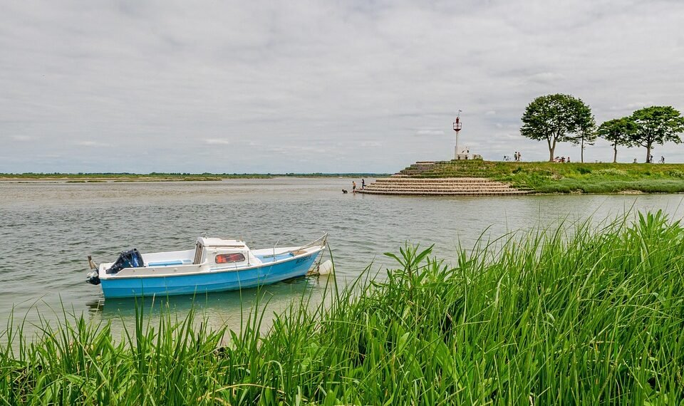 how film ratings systems developed globally