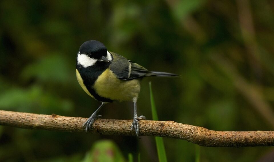 timeline of major film technological innovations