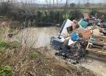 Cornwall Firm Fined for Illegally Storing Animal Blood and Waste Products