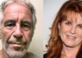 Emails Uncover Jeffrey Epstein's Intent for Majority Stake in Sarah Ferguson Brand