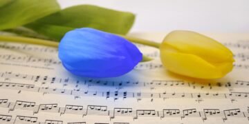 introduction to basic music theory for beginners