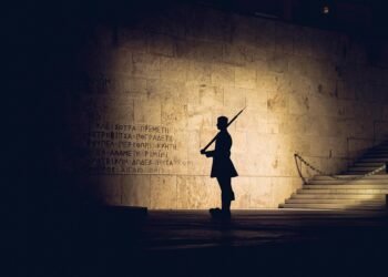 roles and responsibilities of members of parliament