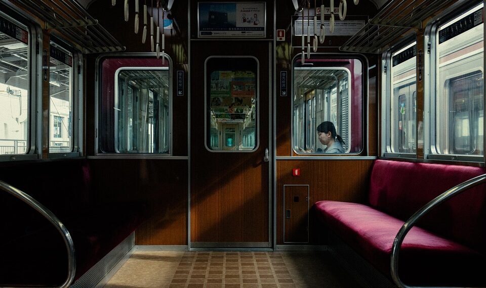 how parliamentary committees work