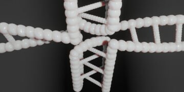 structure of dna discovery by watson and crick