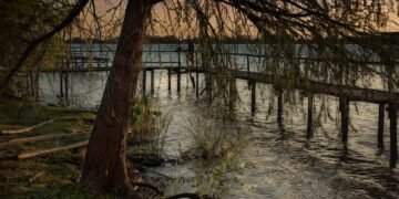 difference between viruses and bacteria