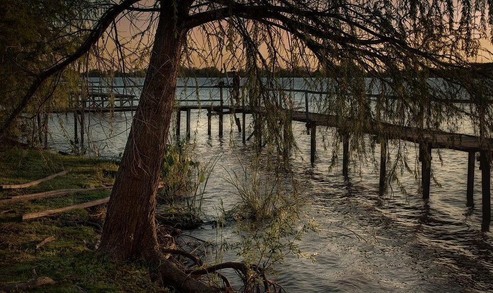 difference between viruses and bacteria