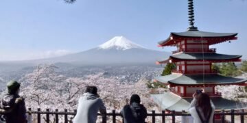 Japanese City Cancels Cherry Blossom Festival Due to Overwhelming Demand