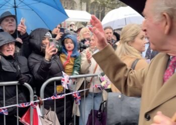 King Avoids Heckler's Query on Andrew, Leaving Critics Wanting More Clarity