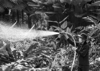 difference between major and minor scales explained