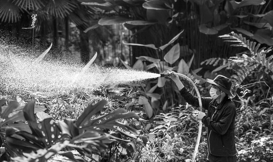 difference between major and minor scales explained