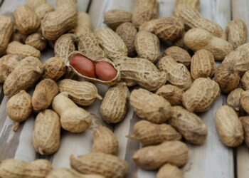 role of RNA in protein synthesis explained