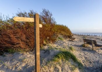 New 35-Mile Coastal Path Unveiled Along Chichester Harbour
