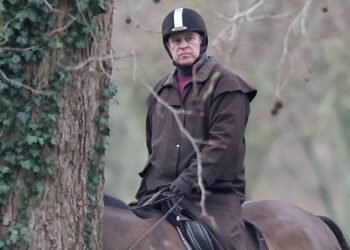 Palace Issues Uncommon Statement Regarding Allegations Against Prince Andrew