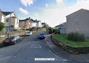 Police Connect Torquay Woman's Death to Body Discovered in Hampshire