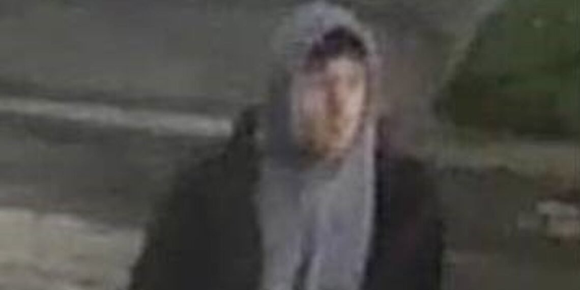 Police Seek Man Following Rape Incident at University Campus in the UK