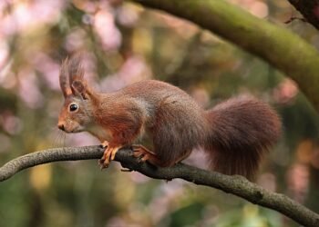 role of producers in shaping major films