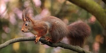 role of producers in shaping major films