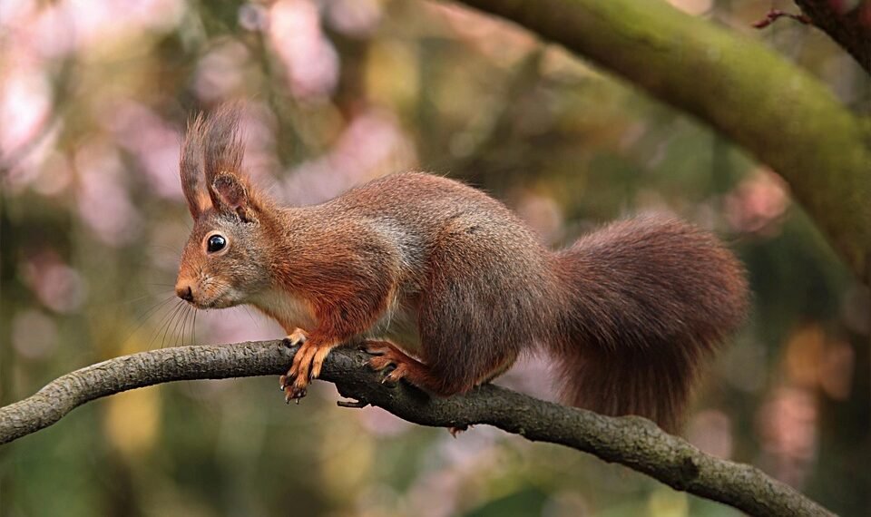 role of producers in shaping major films