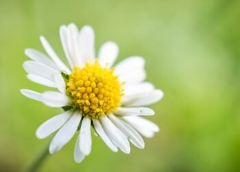 development of surround sound in movies