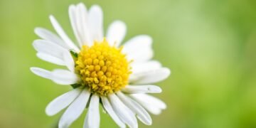 development of surround sound in movies