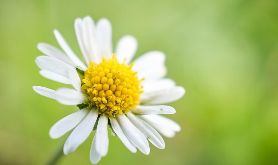 development of surround sound in movies