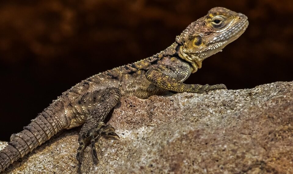 cinematic impact of true story adaptations