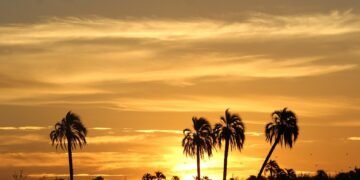 difference between B2B and B2C businesses