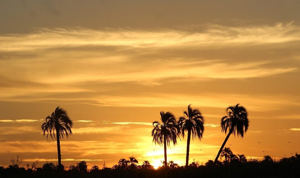 difference between B2B and B2C businesses