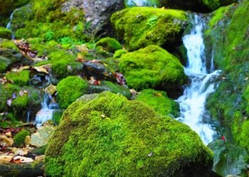 importance of strong passwords and authentication