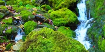 importance of strong passwords and authentication