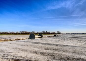 role of firewalls in cyber protection