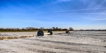 role of firewalls in cyber protection