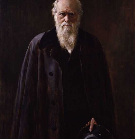 charles darwin theory of evolution overview