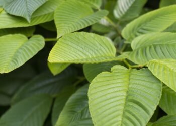 how casting decisions influence character portrayal