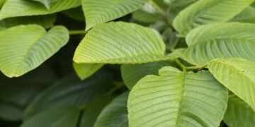 how casting decisions influence character portrayal