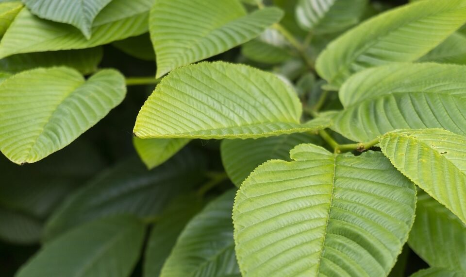 how casting decisions influence character portrayal