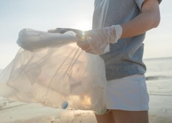 impact of plastic pollution on oceans