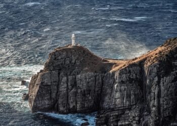 rise of french new wave filmmaking