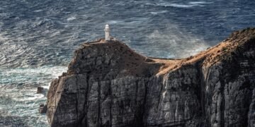 rise of french new wave filmmaking