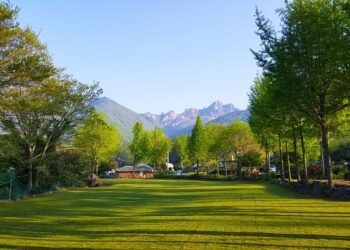 how fashion trends cycle and repeat over time