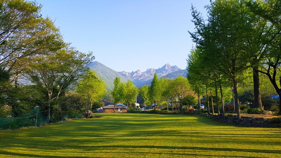 how fashion trends cycle and repeat over time